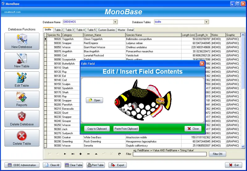 SSuite MonoBase Database